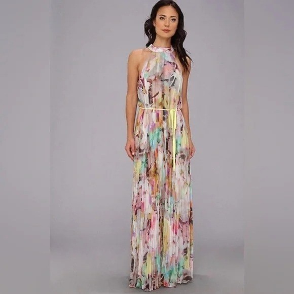 Ted Baker Dress Floral Pleated Womens Size 5 Maxi Multicolor Daydream New Design