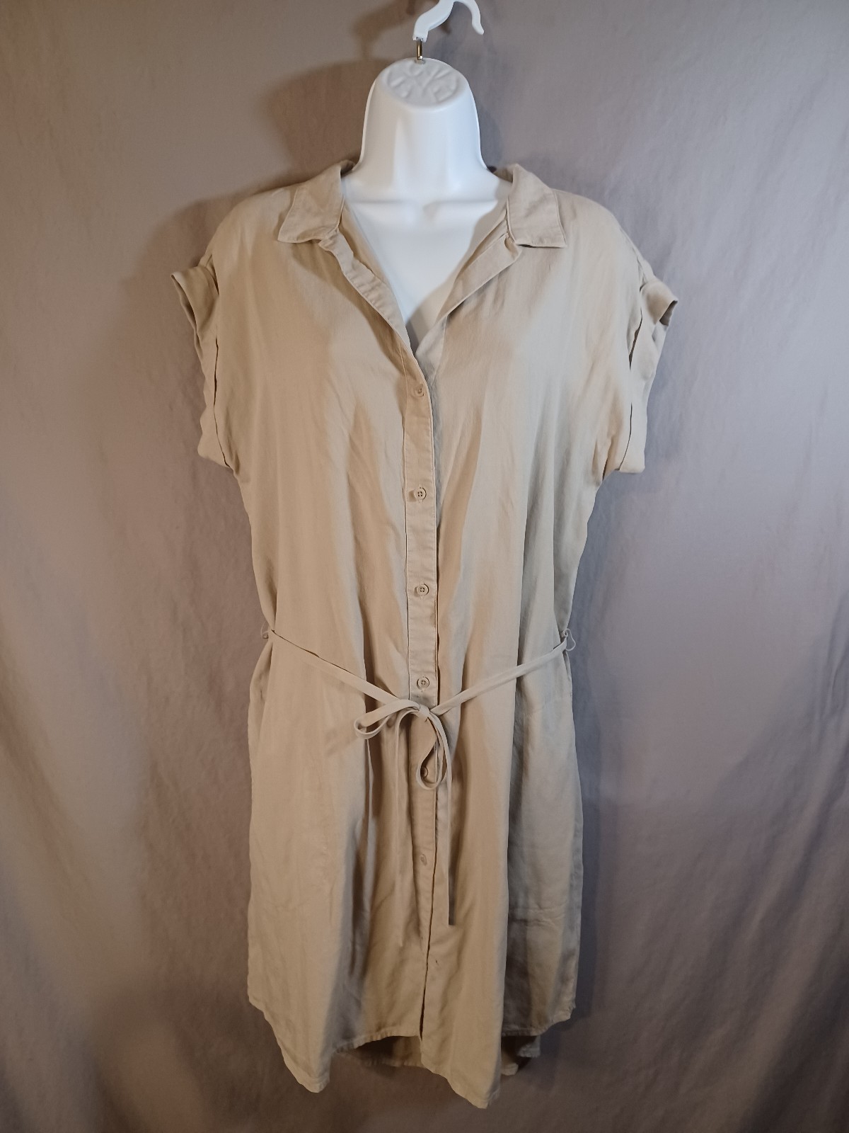 Cloth And Stone Beige Shirt Dress M Belted Waist Rolled Short Sleeve NWT