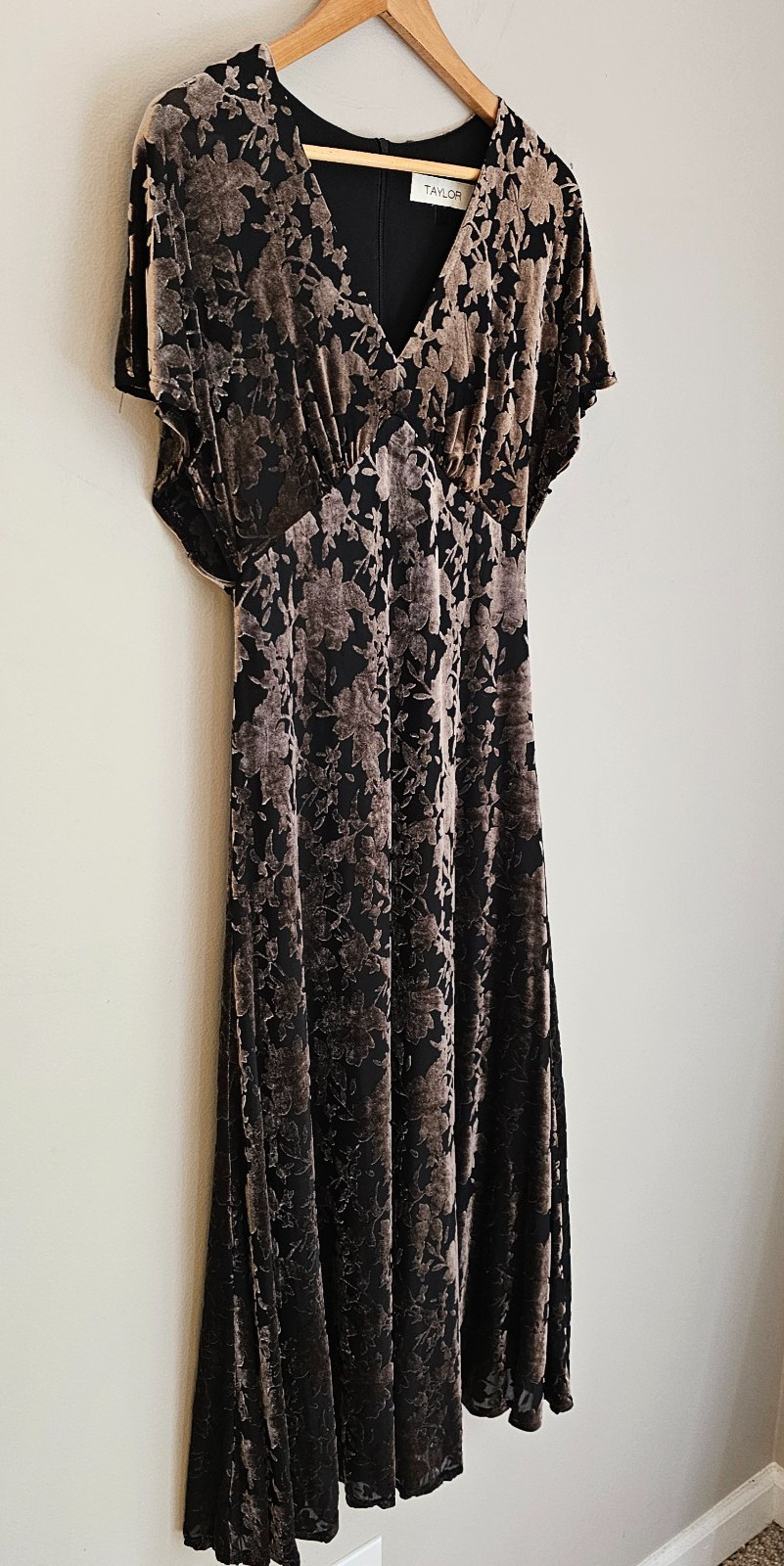 Velvet Burnout Dress Y2K Whimsigoth Fairy Grunge Babydoll Regency Dark Floral 8