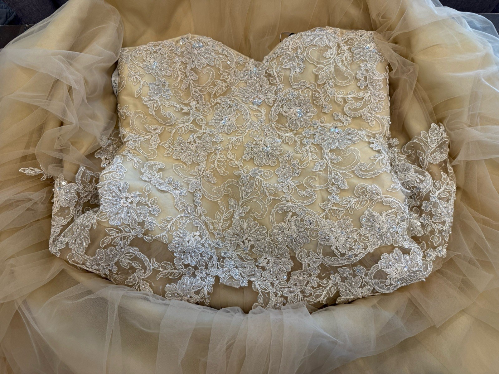 Stunning Ivonne D Beaded Lace Mother of the Bride Gown Set Champagne Sz 16