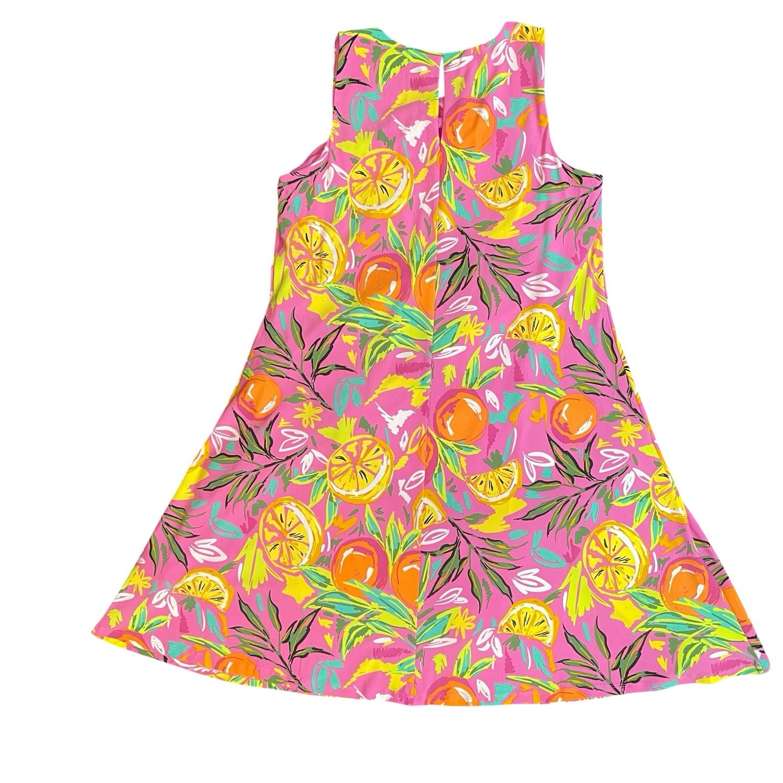 Pappagallo Fun S Pink Tropical Citrus Print A-Line Sleeveless Dress Lined