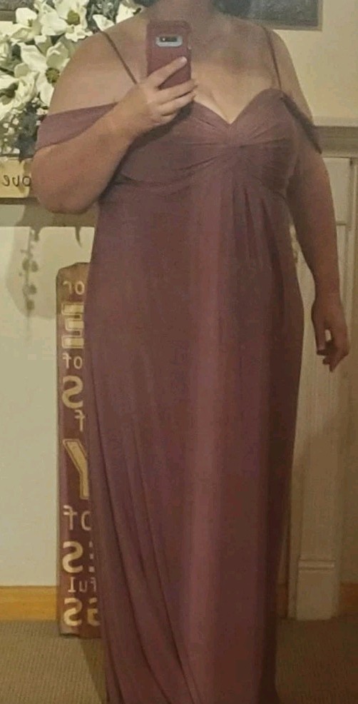 DB Studio Celebrate Empire Waist Chianti Plus Size Bridesmaid Dress Sz 20