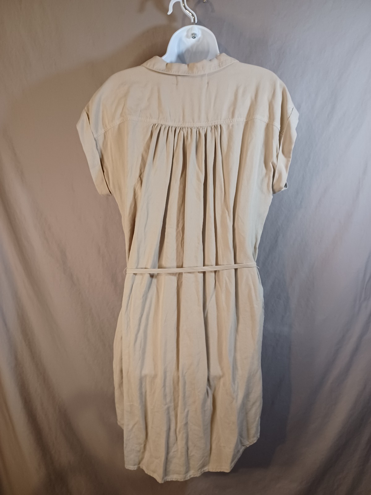 Cloth And Stone Beige Shirt Dress M Belted Waist Rolled Short Sleeve NWT