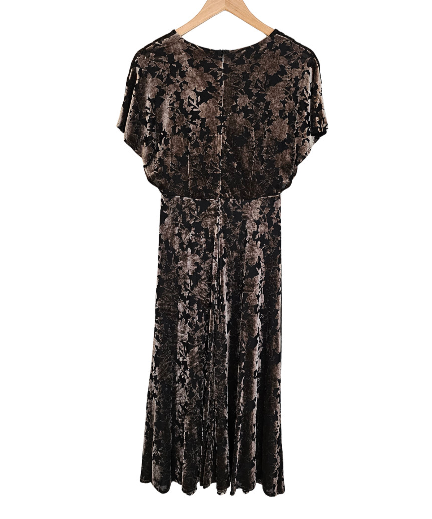 Velvet Burnout Dress Y2K Whimsigoth Fairy Grunge Babydoll Regency Dark Floral 8